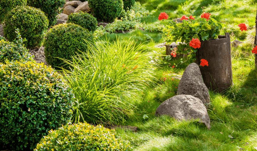 Landscaping